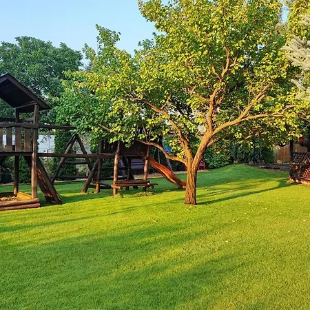 Panoli * Nyíregyháza