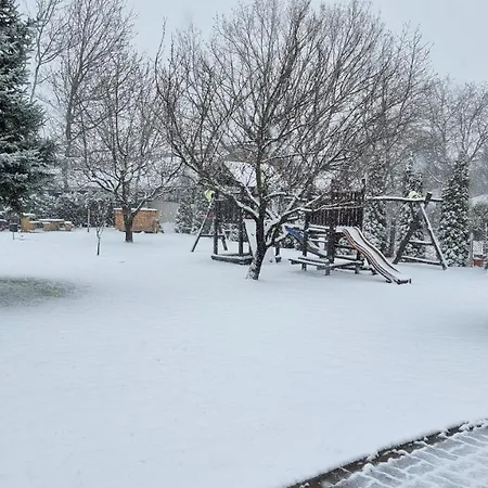 Panoli Nyíregyháza