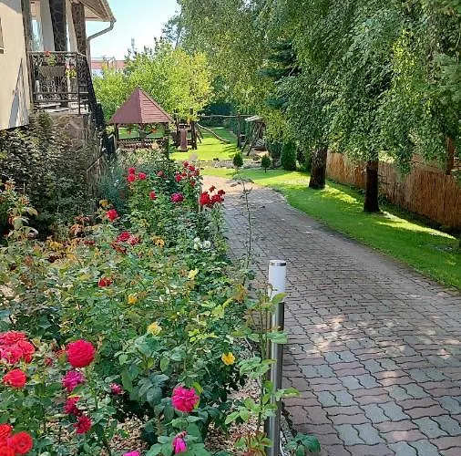 Panoli Nyíregyháza